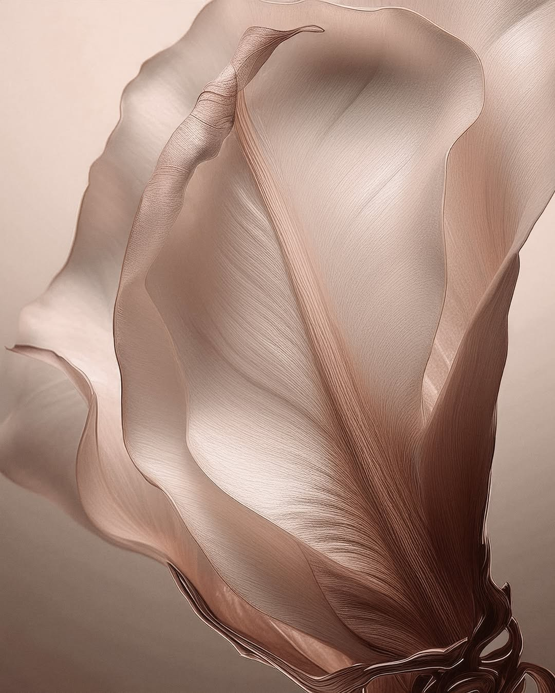 Dean's List Recognition